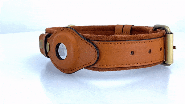 AirTag-Hundehalsband aus Leder