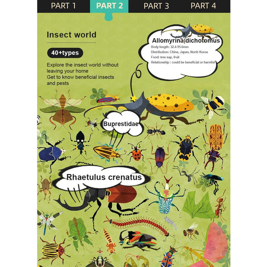 Insect World 126pcs-1