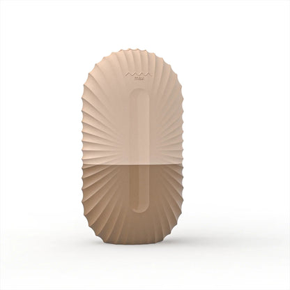 Silikon-Gesichtseisform und Massagegerät