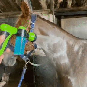 Druckschlauchdüse Schaumpistole