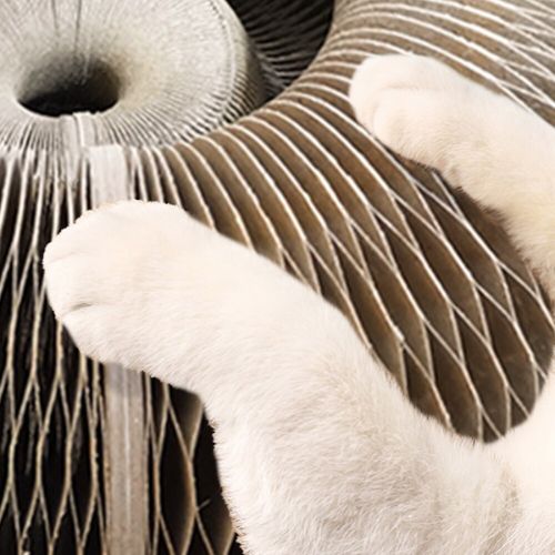 Rundes Orgel-Katzenkratzbrett