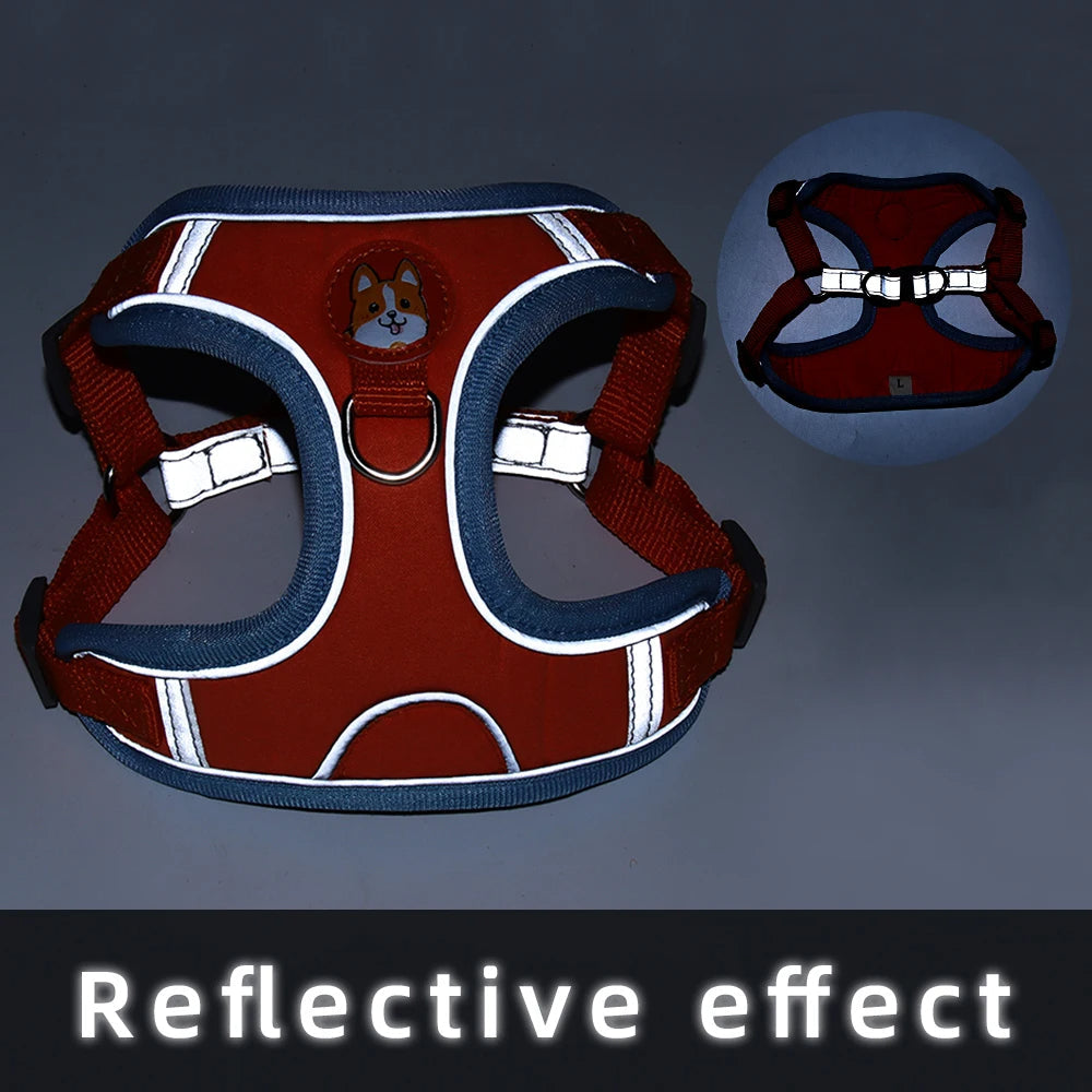 Haustier-Katzengeschirr und Leinen-Set