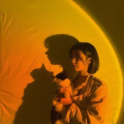 Sonnenuntergangs-Projektorlampe