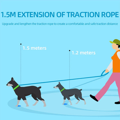 Haustier-Katzengeschirr und Leinen-Set