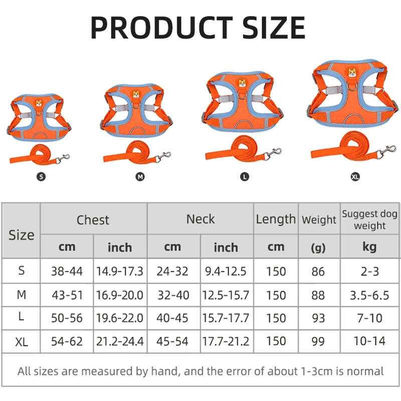 Haustier-Katzengeschirr und Leinen-Set