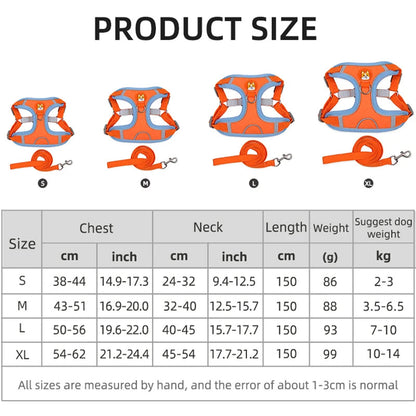 Haustier-Katzengeschirr und Leinen-Set