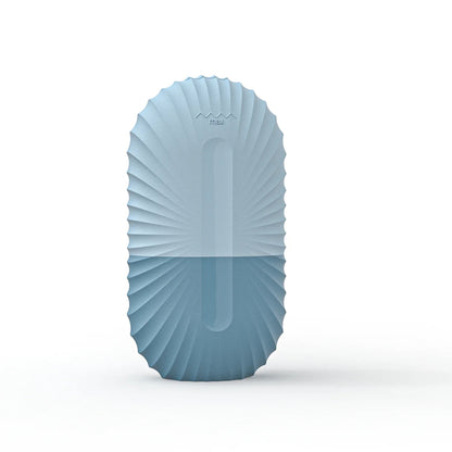 Silikon-Gesichtseisform und Massagegerät