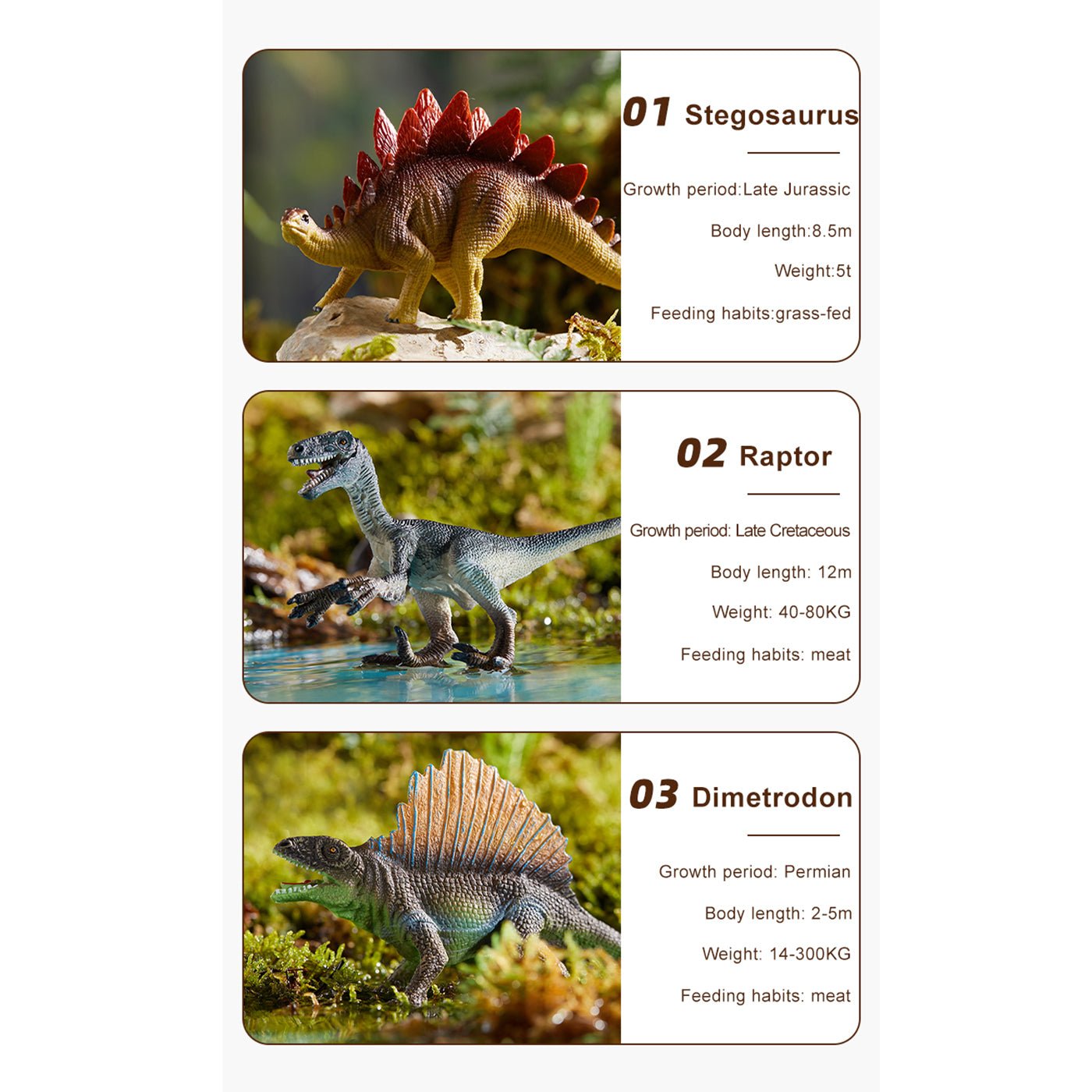 Dinosaur Toys Set 24pcs-4