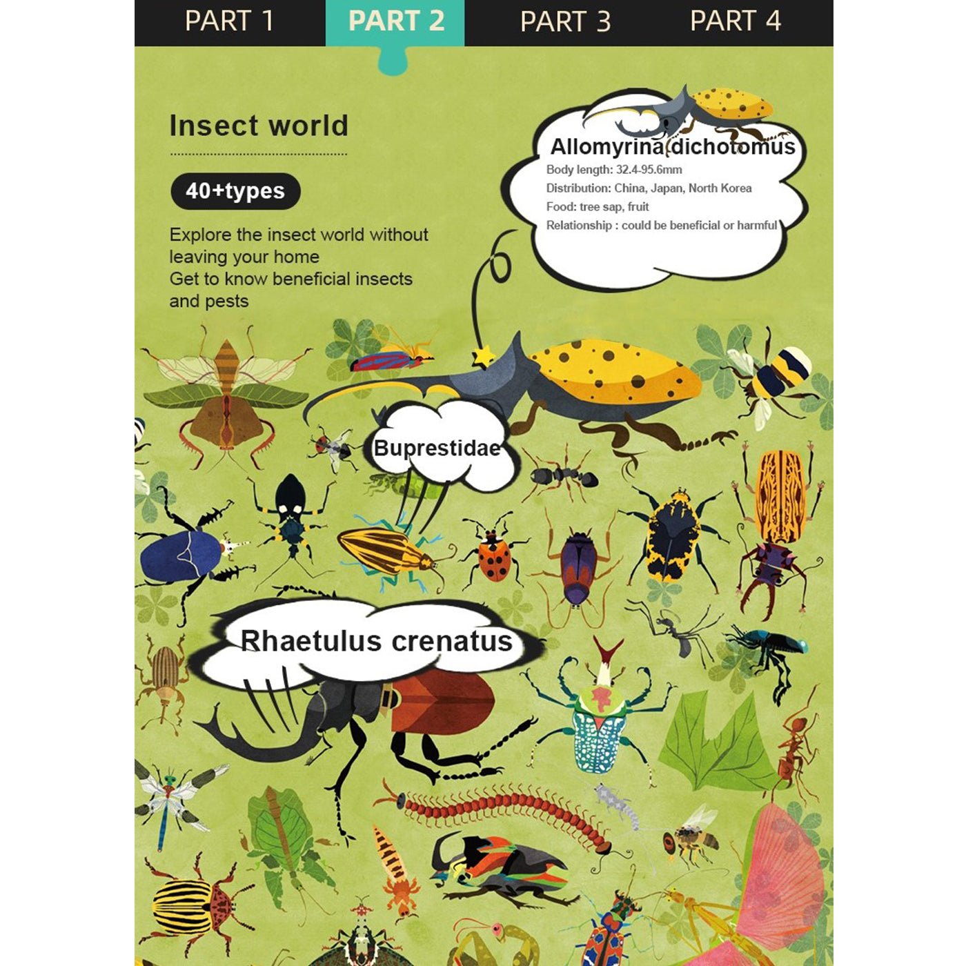 Insect World 126pcs-1