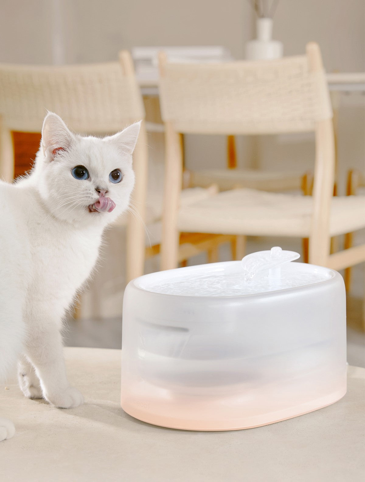 Smart Temperature UVC Sterilization Water Fountain-0